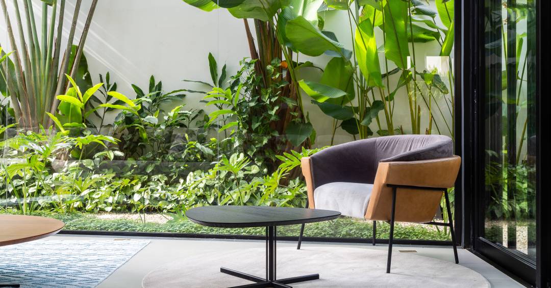 design biofílico para casas pequenas