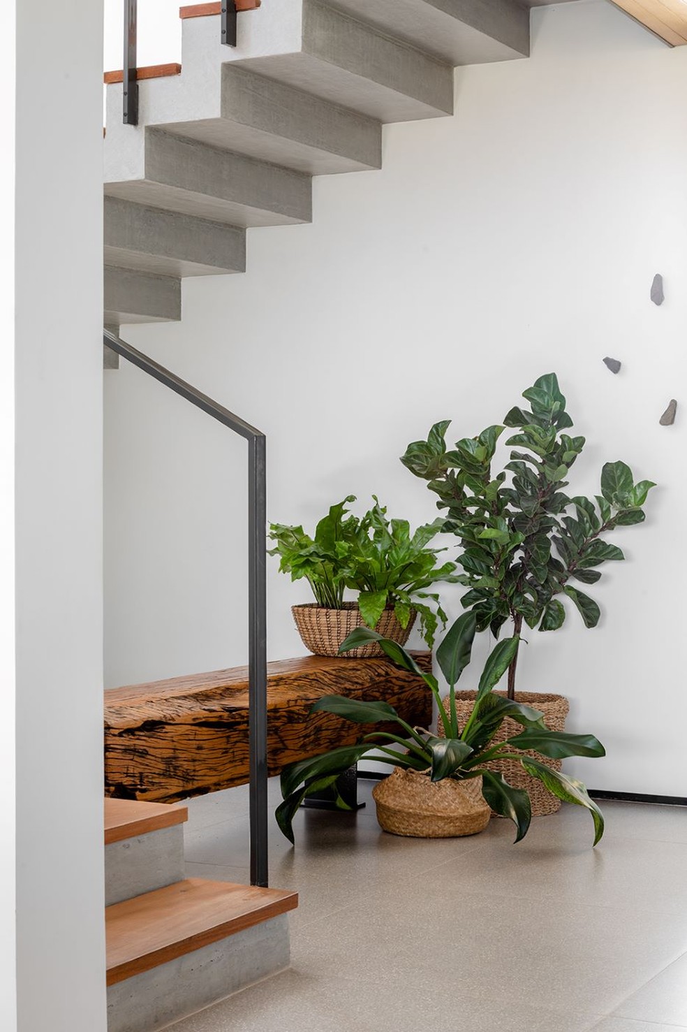 ideias criativas decoração escada samambaia