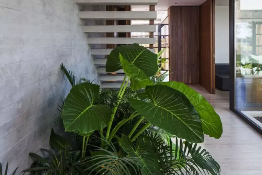custo projeto decoração escada com plantas