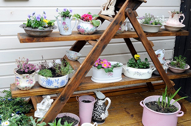 decoracao com escadas e samambaias