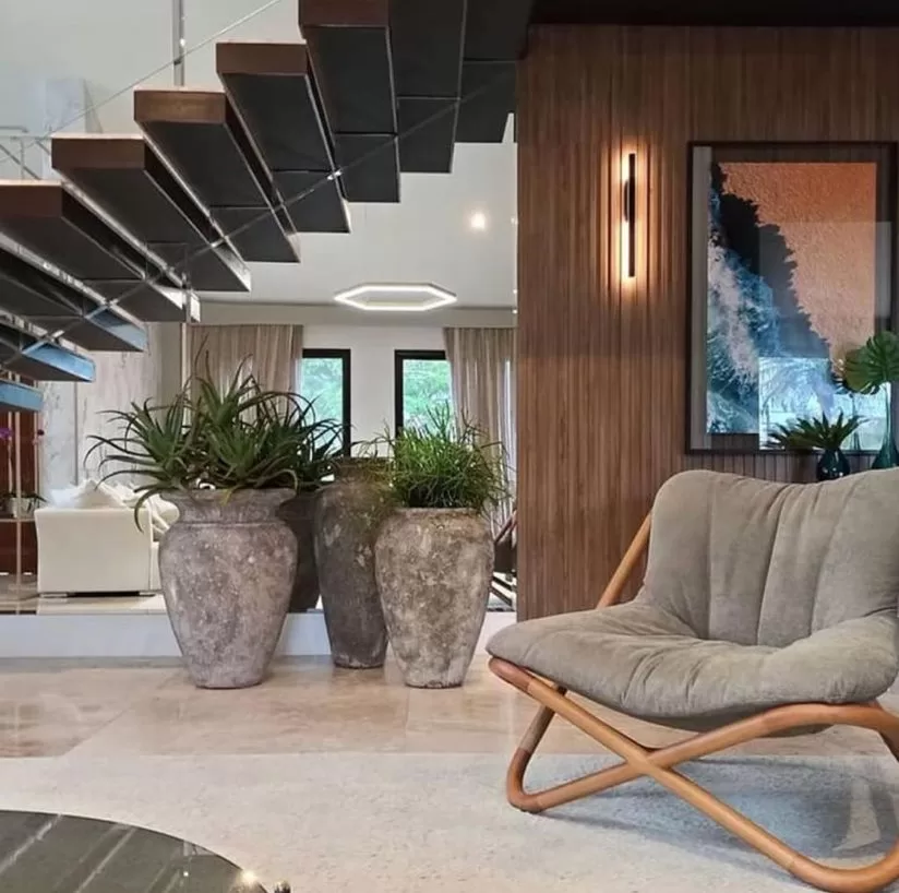 erros comuns cuidar samambaia escada