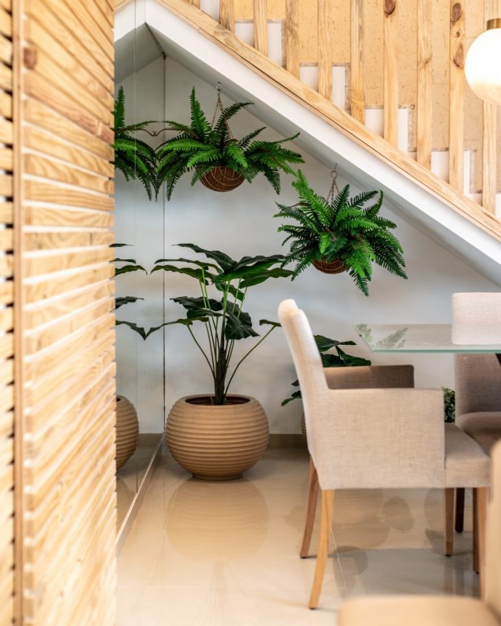 como fazer jardim vertical samambaia escada