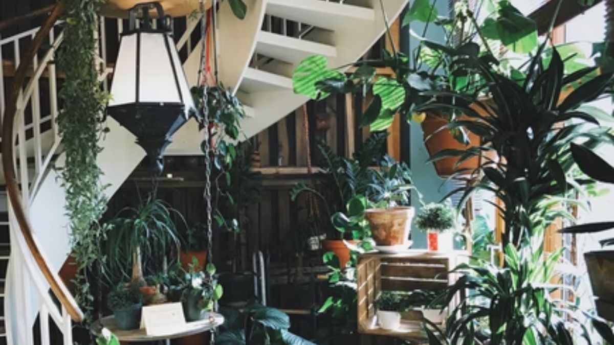 ideias criativas decoração escada samambaia