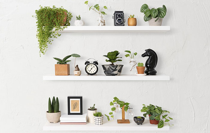 tipos de nichos para cada ambiente