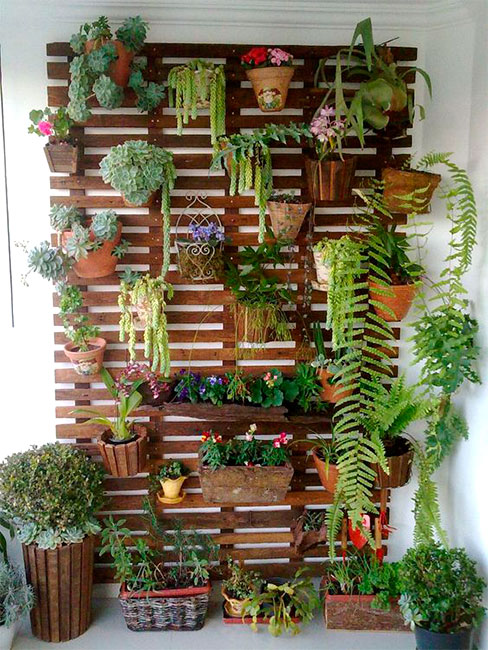 5 plantas ideais para sua horta vertical de pallets