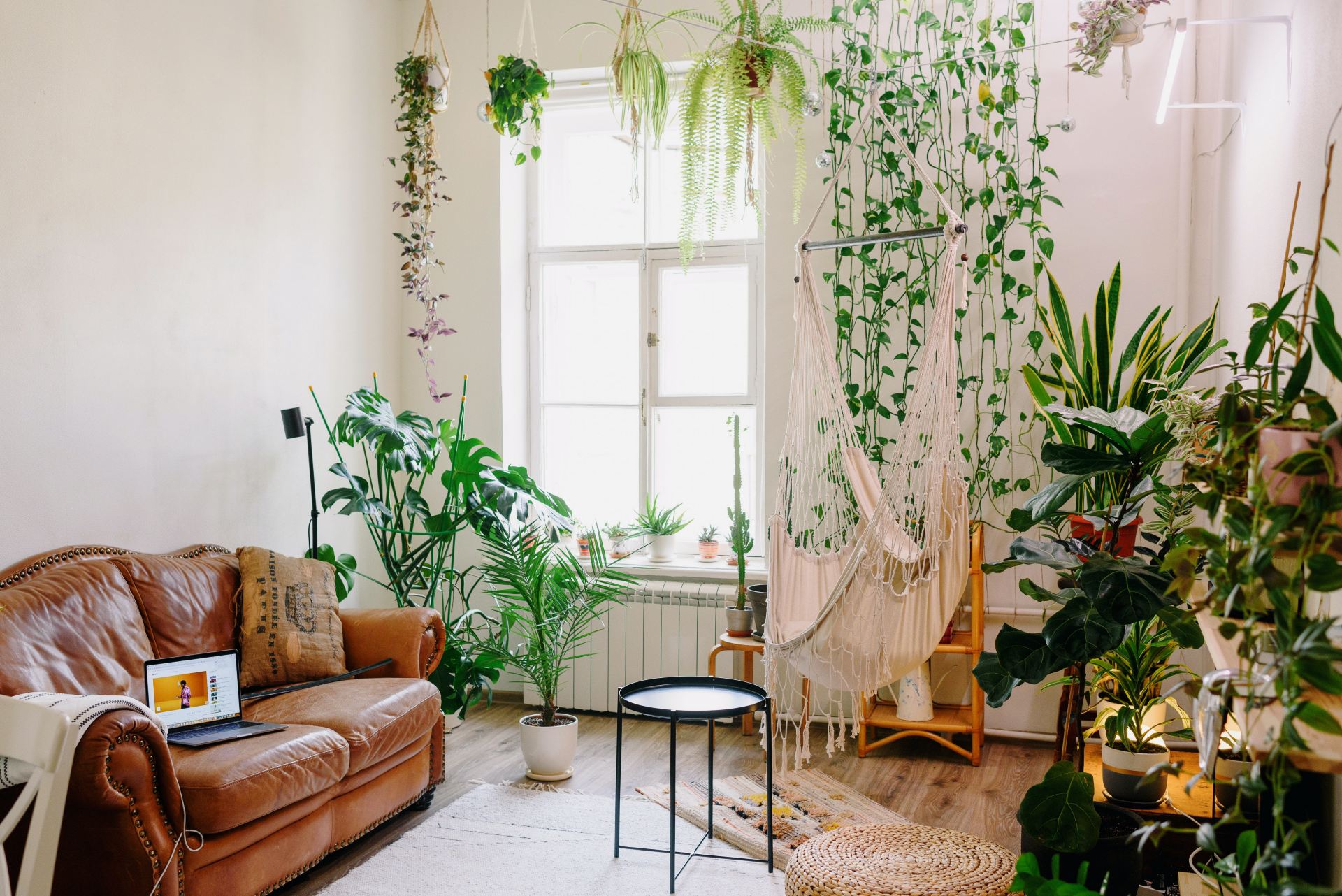 decoracao com plantas