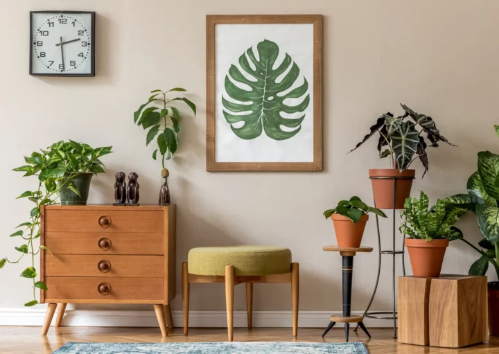 como decorar ambientes com plantas