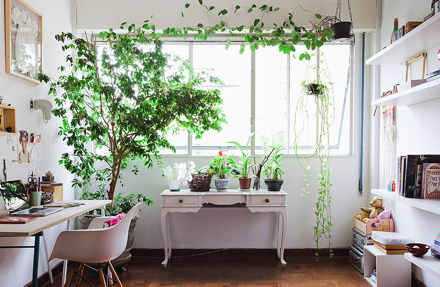 decoracao com plantas