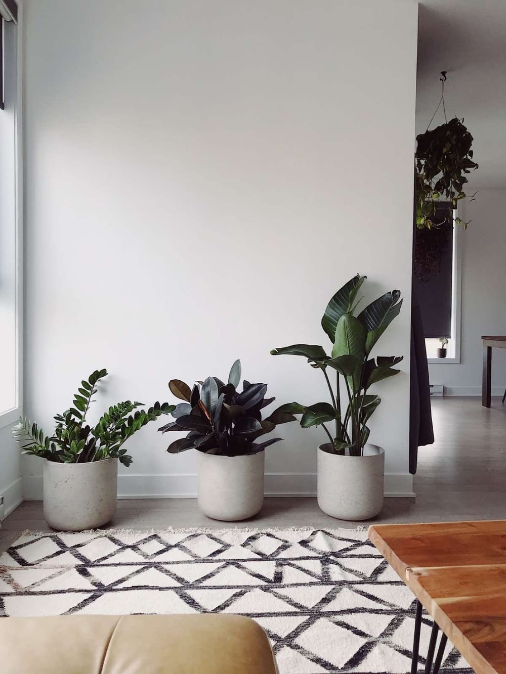 quais plantas purificam o ar do quarto