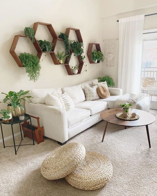 decoracao com plantas