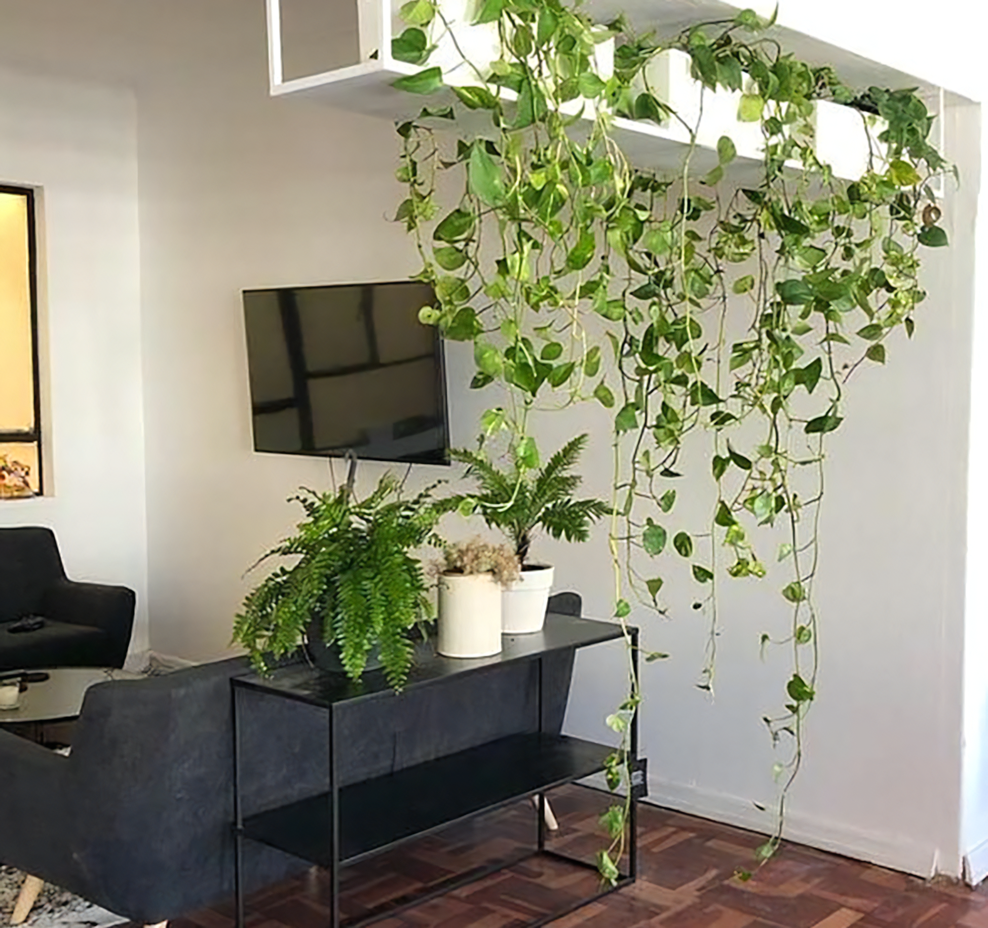 dicas de jardinagem vertical para apartamentos