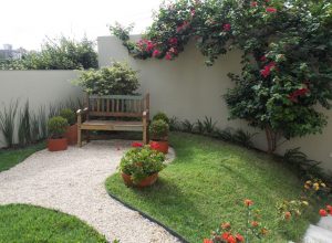 passo a passo mini jardim suculentas em xícara