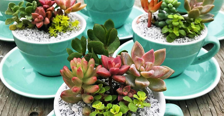 custo benefício decoração jardim com xícaras usadas