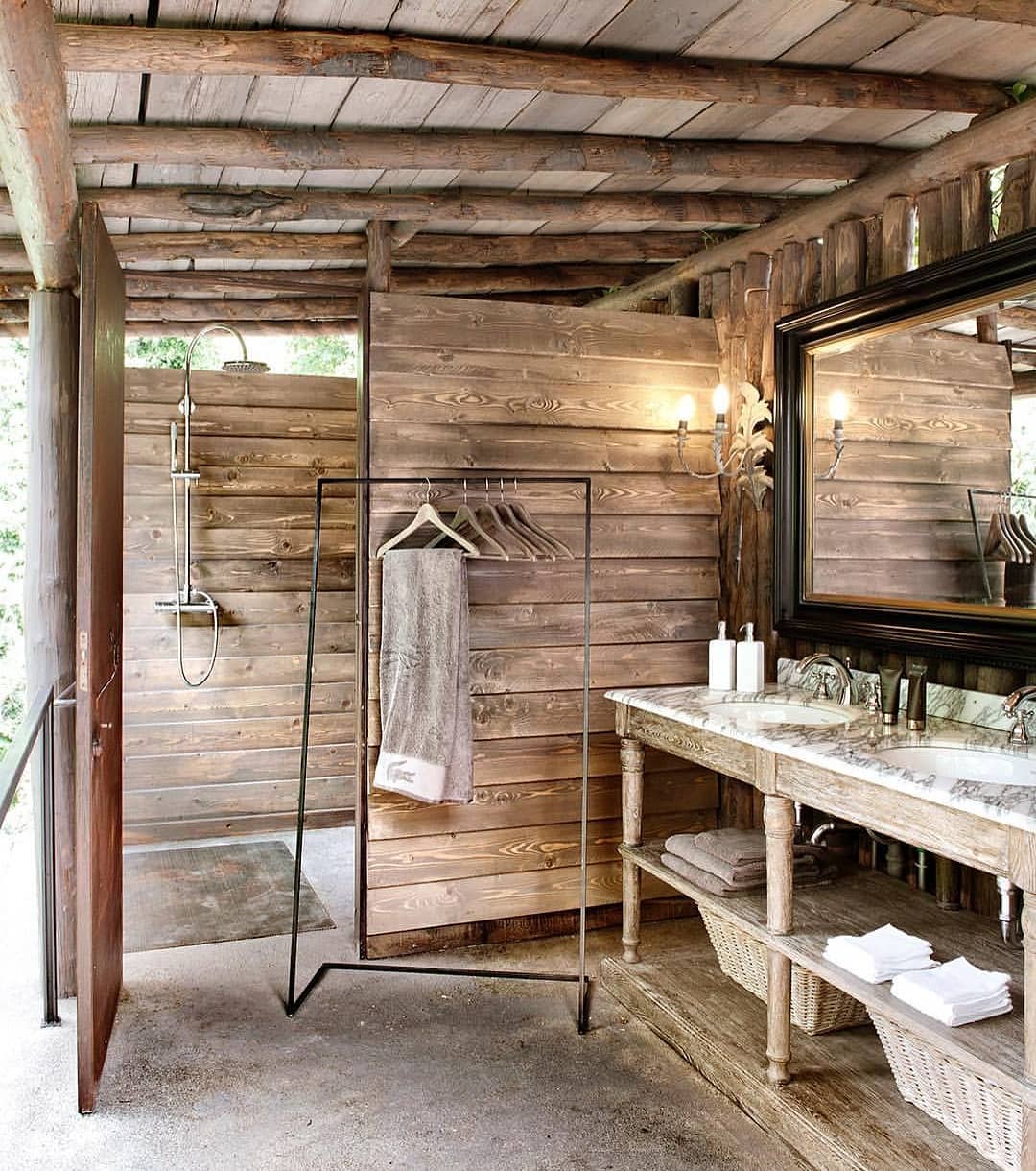 plantas para banheiro com pouca luz