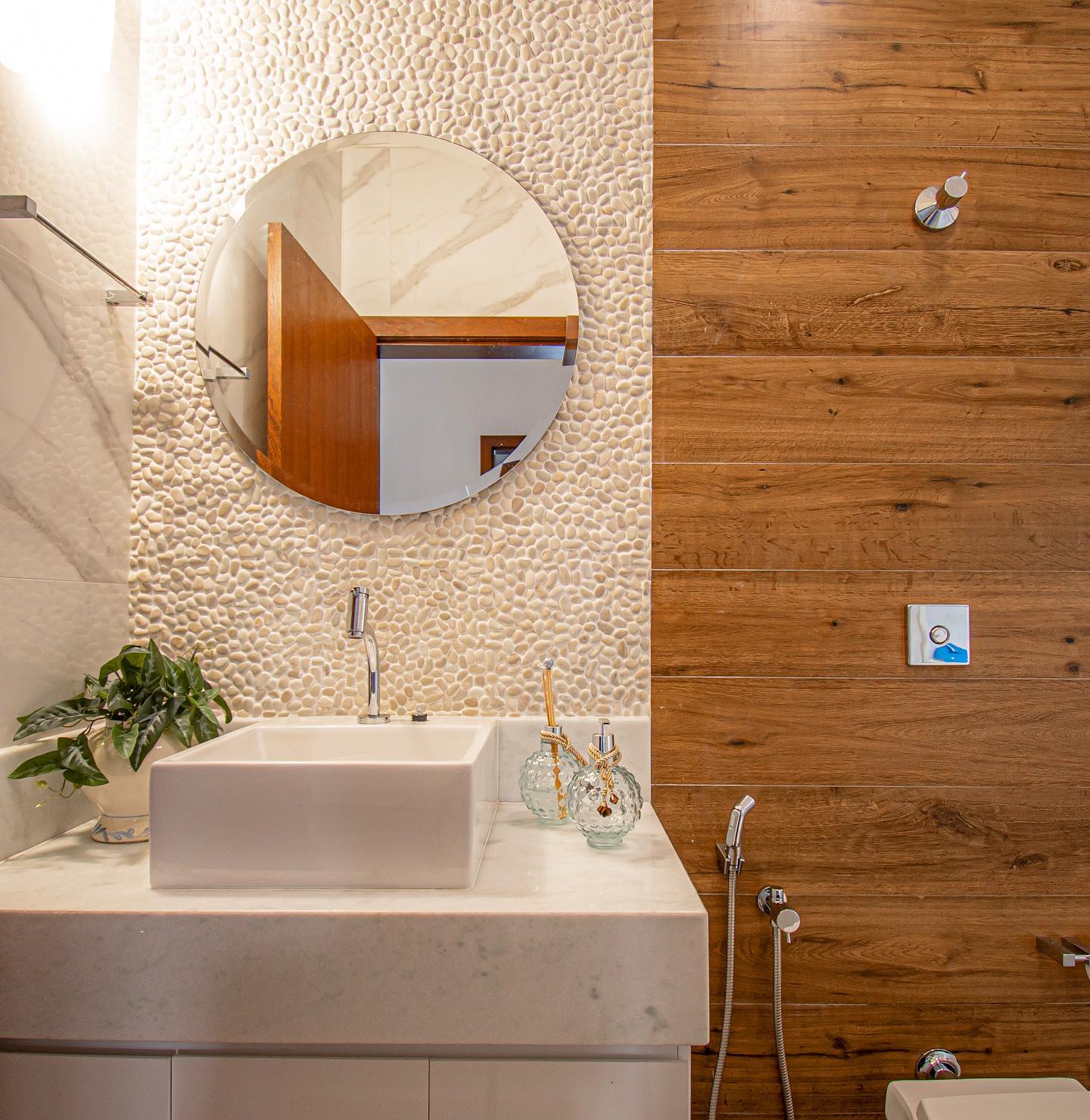 plantas para banheiro com pouca luz