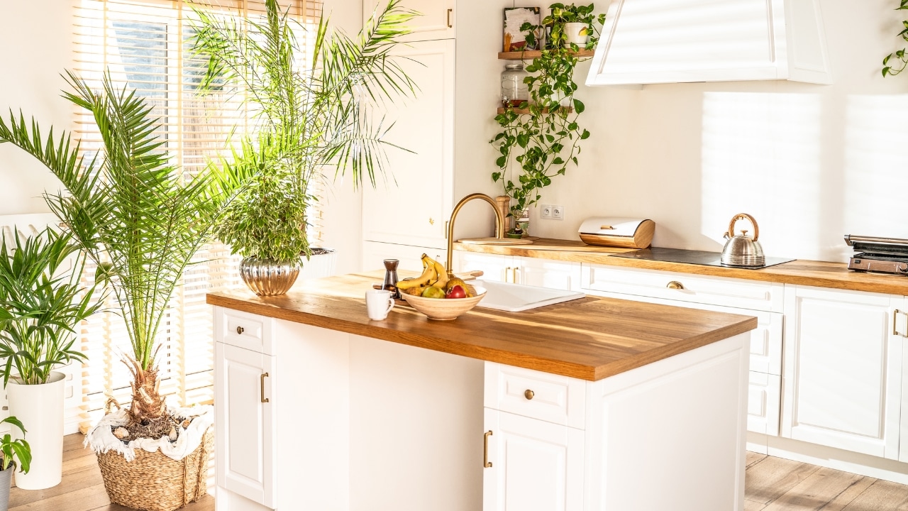 paleta de cores cozinha caiçara