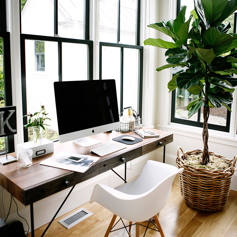 decoracao de escritorio com plantas