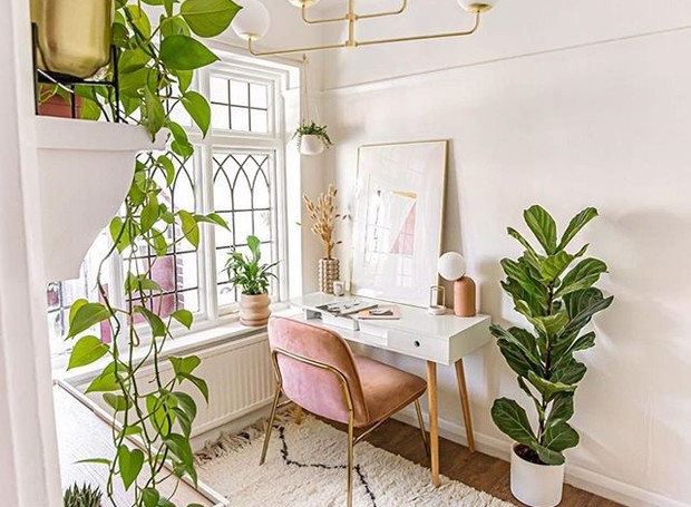 Plantas para Escritório: Soluções para Pouca Luz e Ar Condicionado