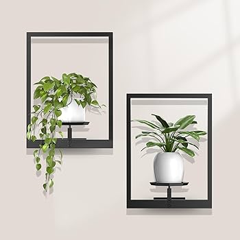 Guia Completo: Plantas de Baixa Manutenção para Seu Escritório