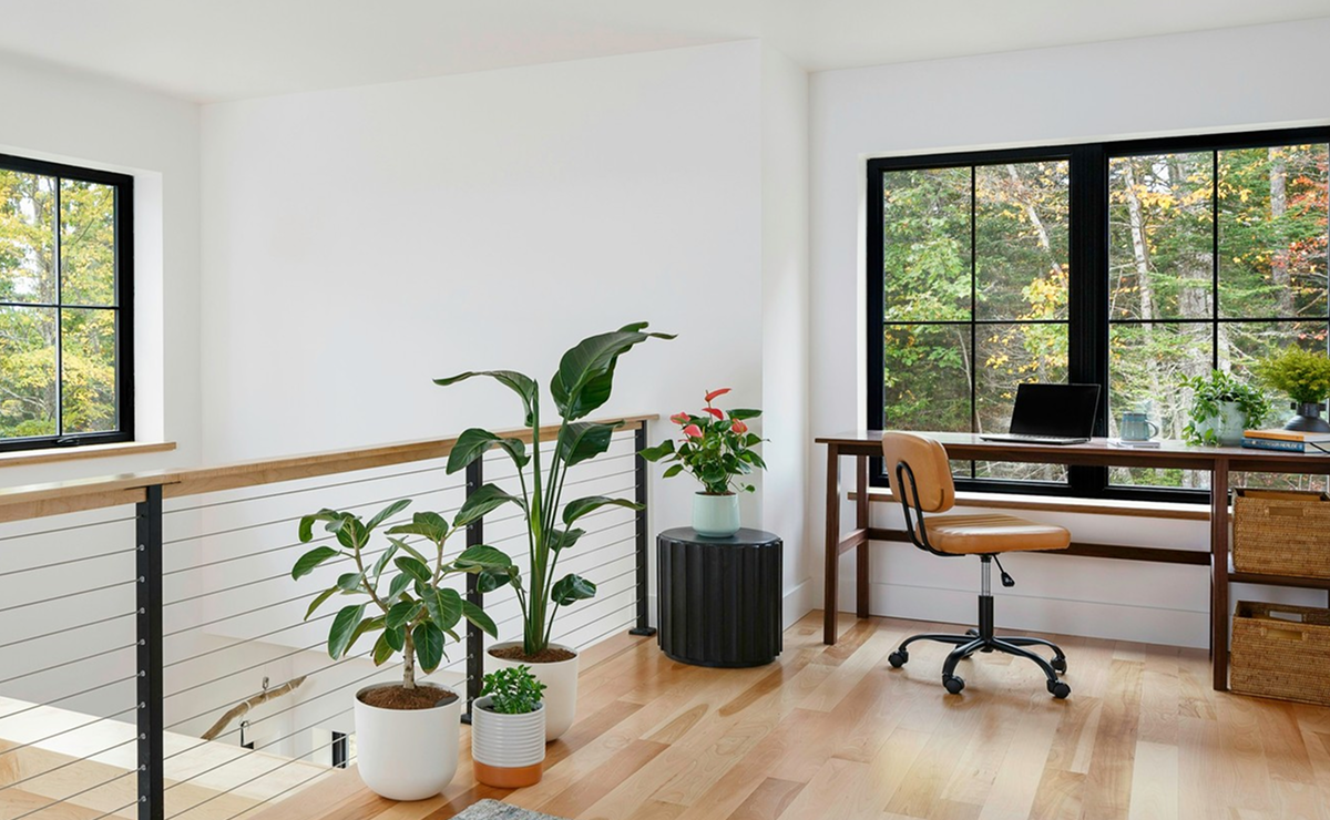 Design Biofílico: Como Integrar a Natureza e Aumentar a Produtividade