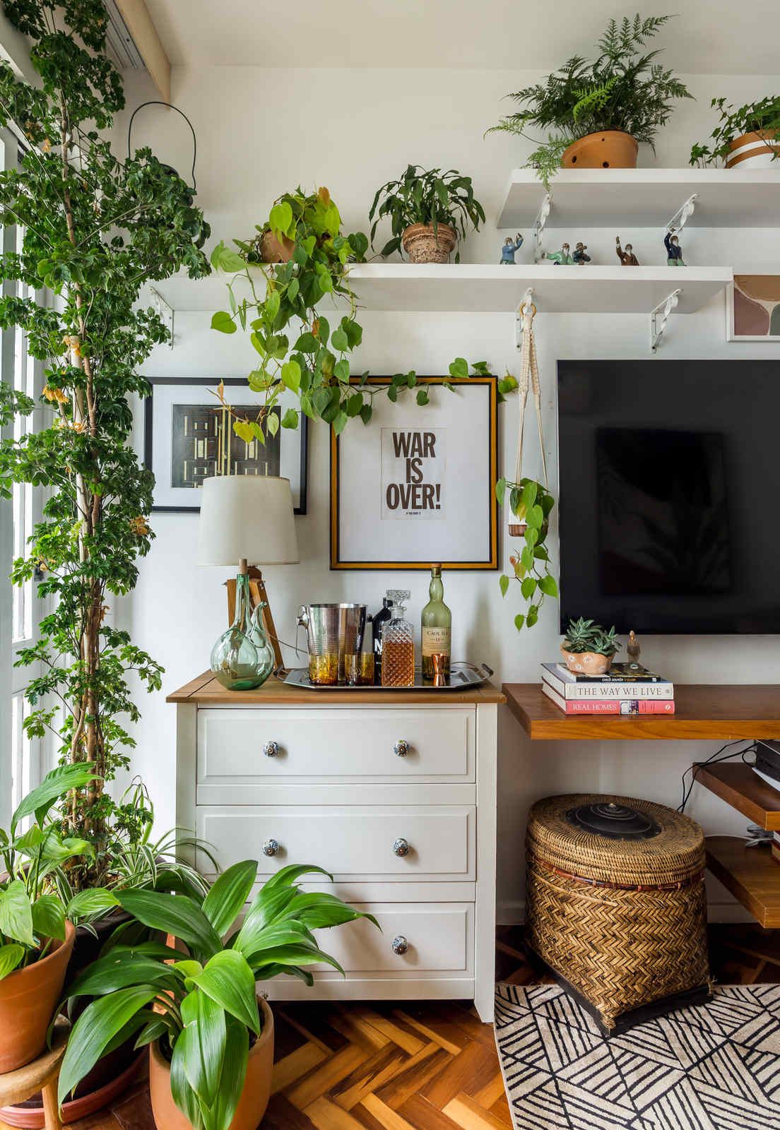 Como Cuidar das Suas Plantas de Escritório: Dicas Essenciais de Rega e Iluminação