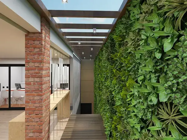 Plantas Pendentes e de Mesa: As Melhores Espécies para Ambientes Corporativos