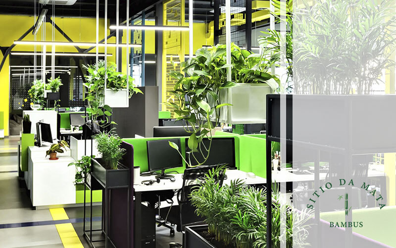 O Significado das Plantas na Decoração do Escritório: Energia e Sucesso