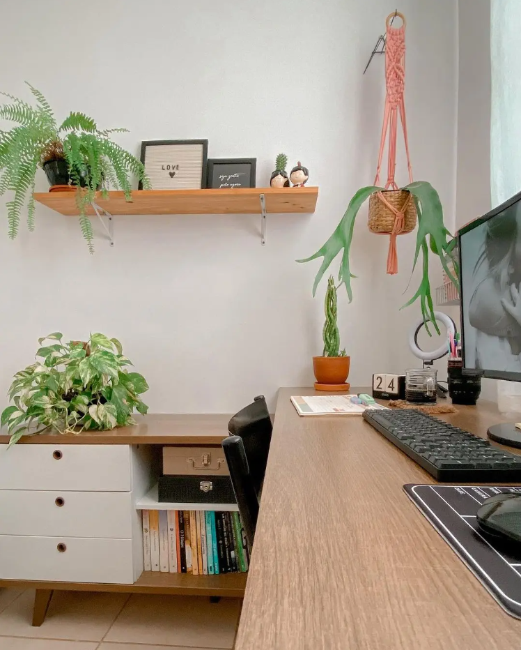 O Significado das Plantas na Decoração do Escritório: Energia e Sucesso
