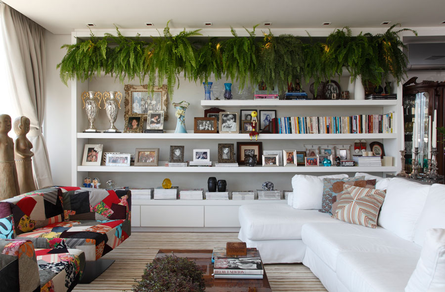 samambaia natural ou artificial escritorio qual melhor