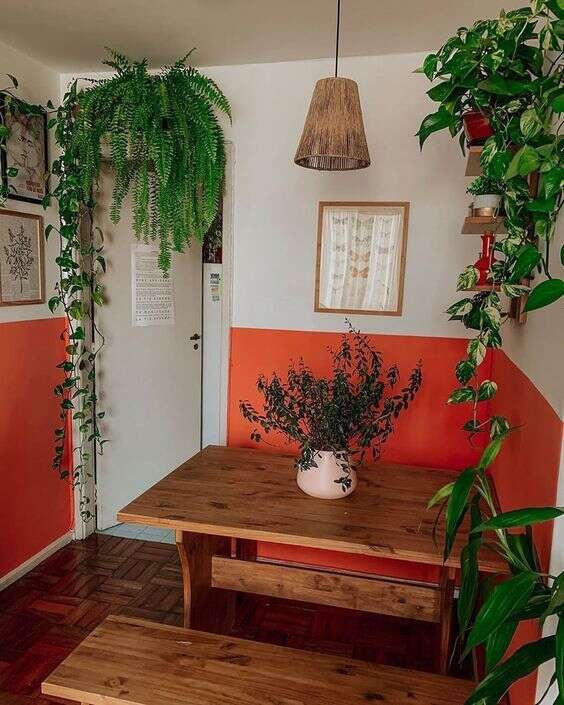 decoracao de escritorio com samambaias