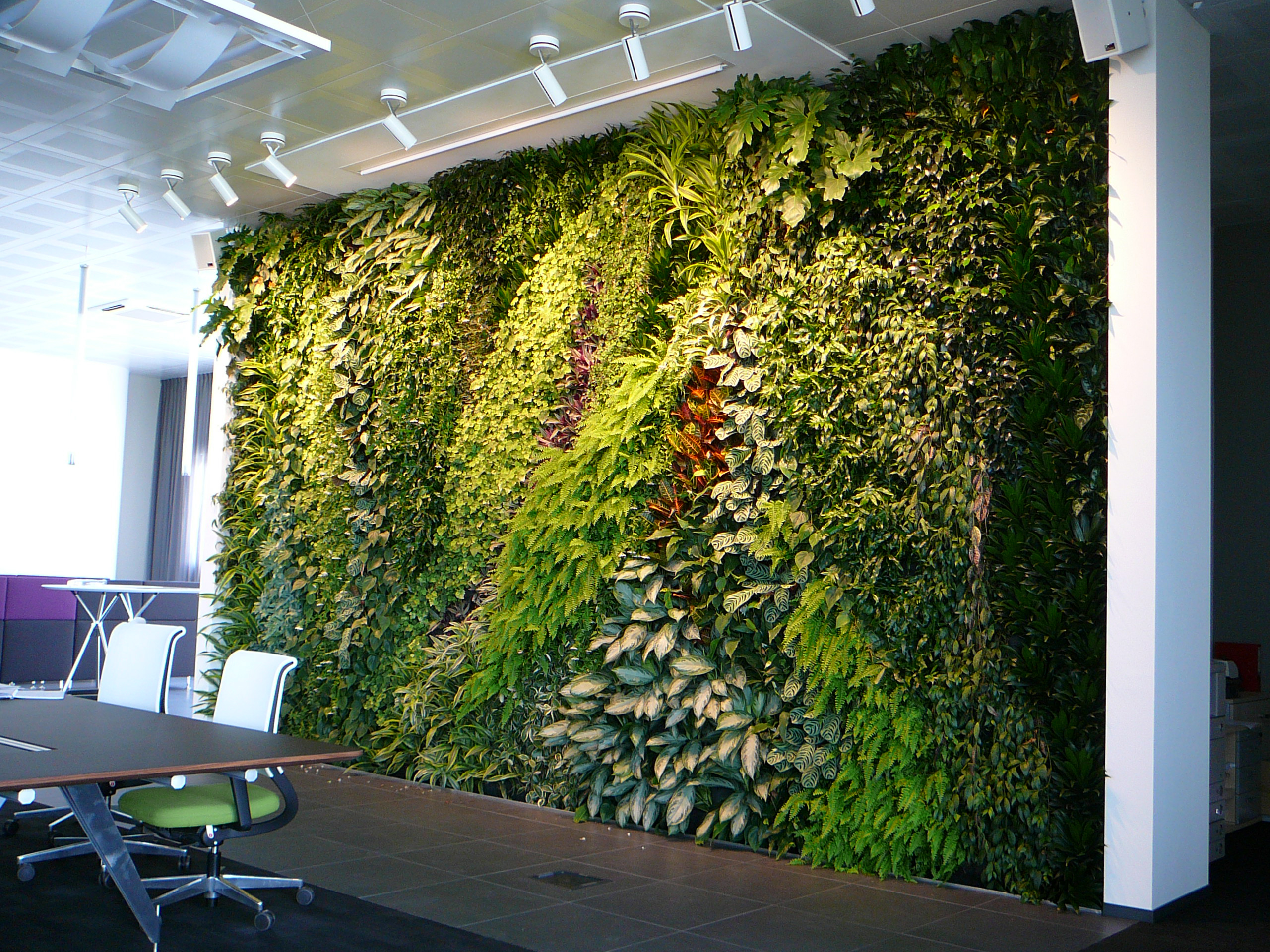 ideias criativas decorar escritorio samambaia