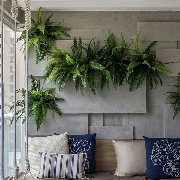 samambaia morrendo escritorio como evitar