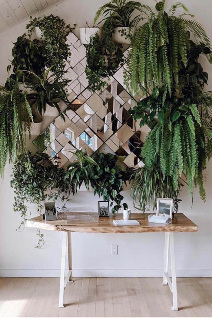 custo decoracao escritorio samambaia preco