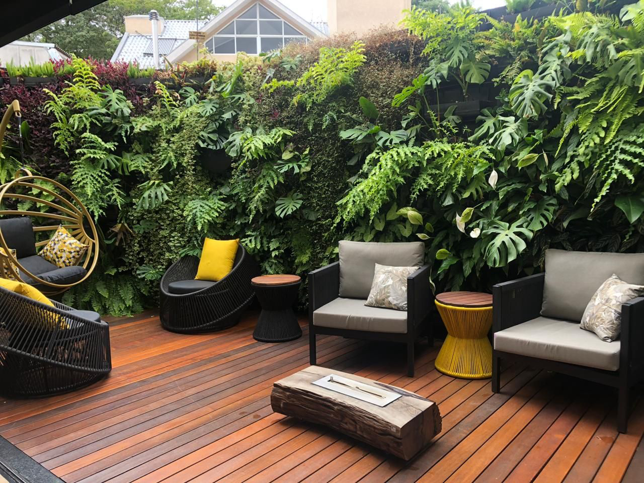 ideias criativas decorar escritorio samambaia