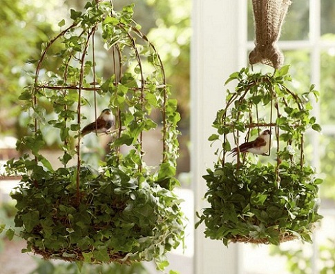 como usar gaiolas na decoração de jardim