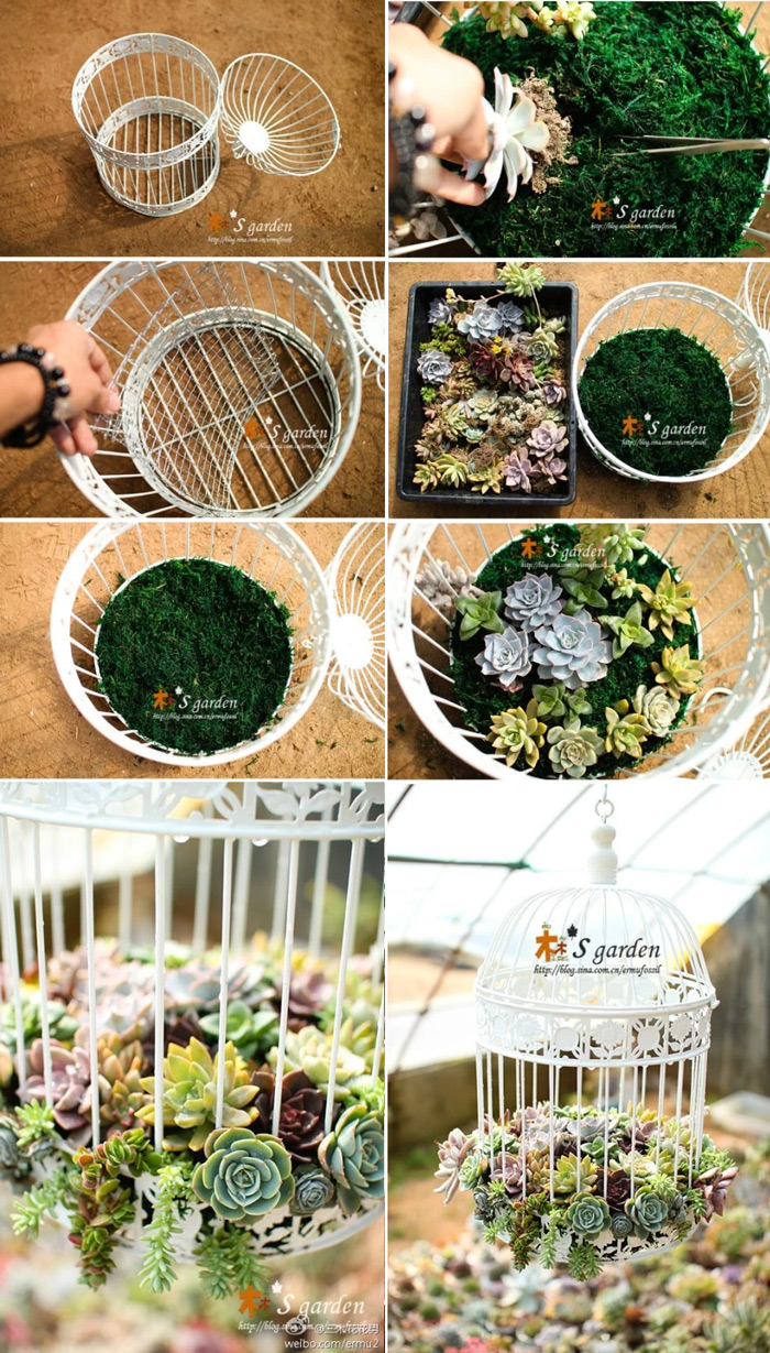 onde comprar gaiolas vintage para plantas