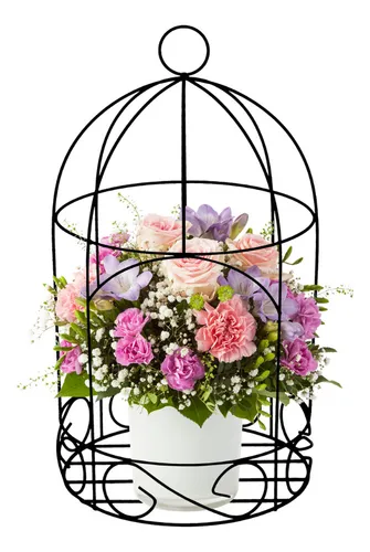 gaiola de ferro para suculentas