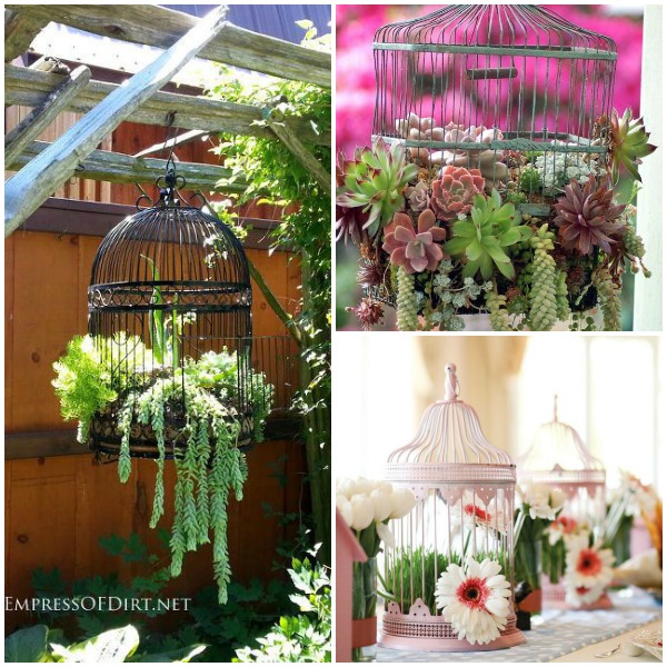 onde comprar gaiolas vintage para plantas