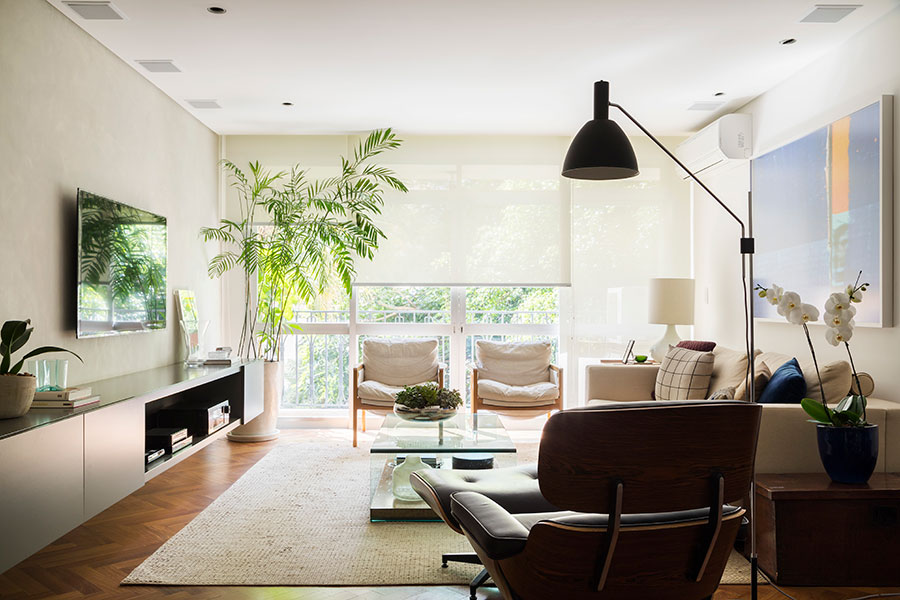 Decoração com Plantas: Toque Natural na Sala Clean