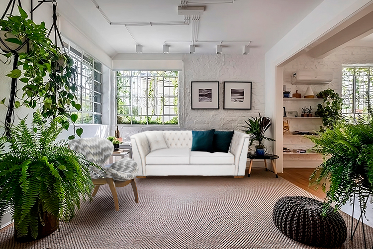 plantas para sala de estar