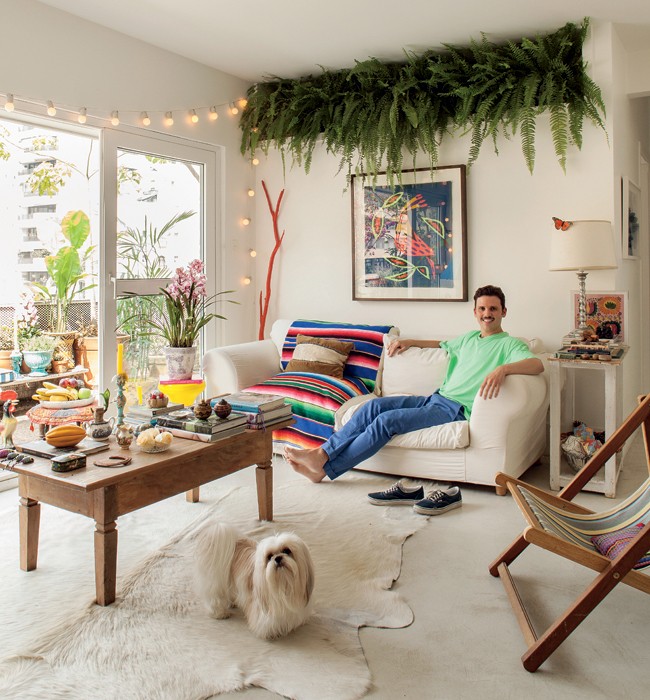 samambaia em apartamento