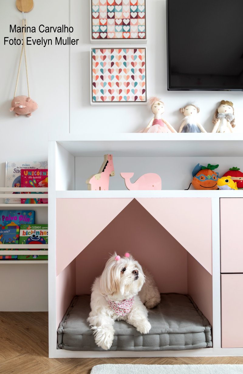 decoracao para pets