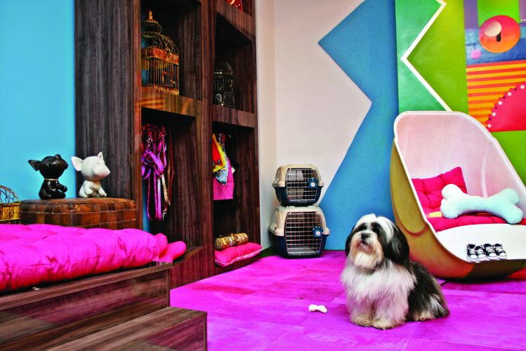 ideias criativas decoracao pet apartamento pequeno