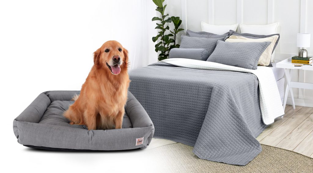 estacao alimentacao embutida cozinha cachorro