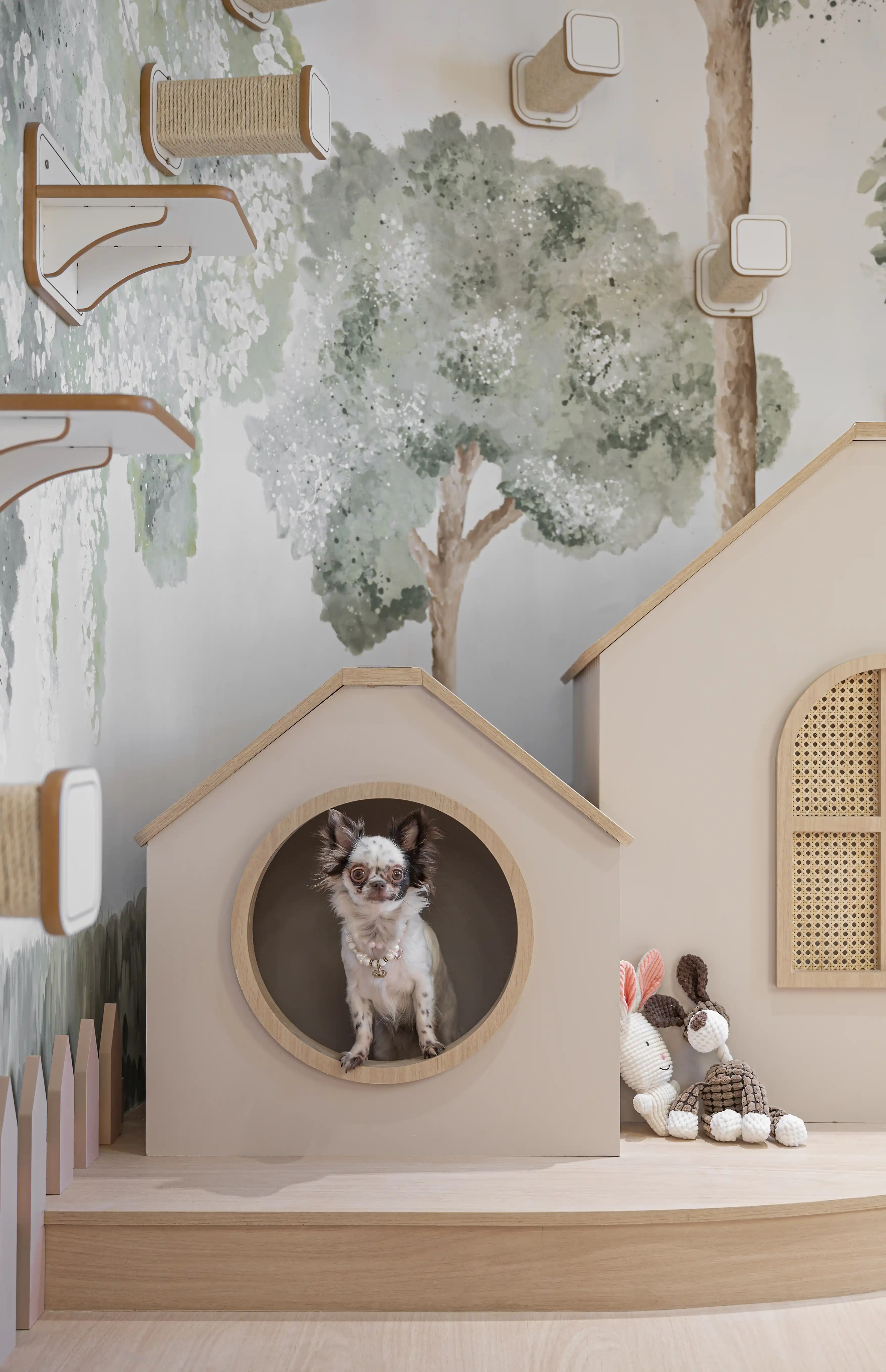decoracao para pets
