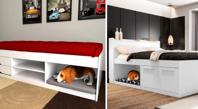 pisos vinilico ceramico pet qual melhor