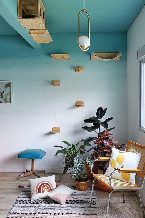 pisos vinilico ceramico pet qual melhor