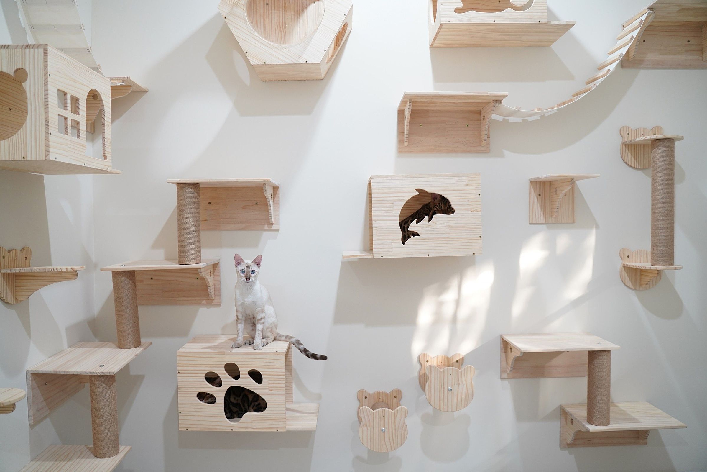 estacao alimentacao embutida cozinha cachorro