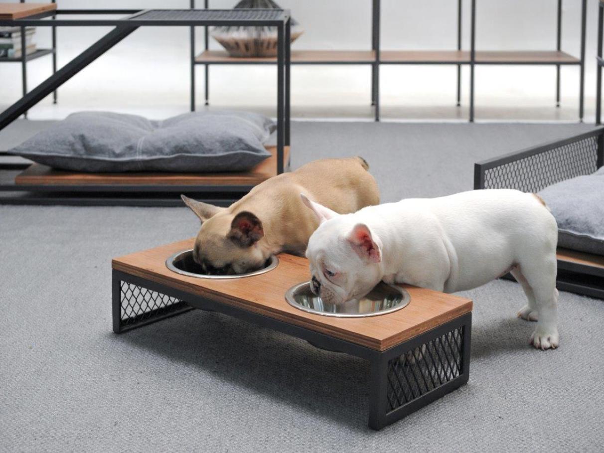 ideias criativas decoracao pet apartamento pequeno