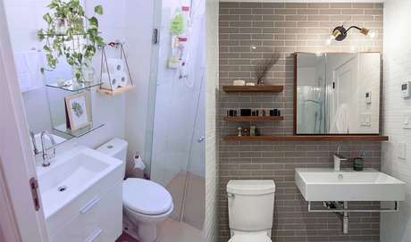 As Melhores Plantas para Banheiros Grandes e Úmidos